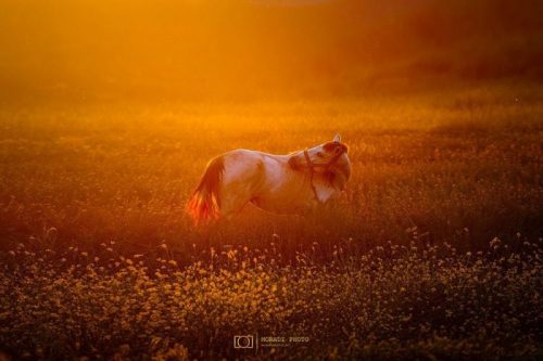 188906734_296512422026861_8400361137701046833_n