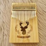 کالیمبا-صدفی-هوگو