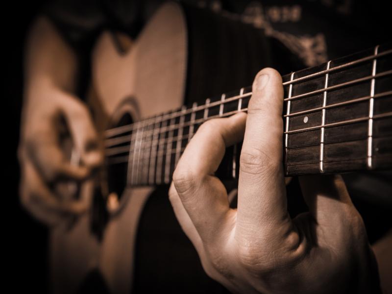 folk_guitarist__large