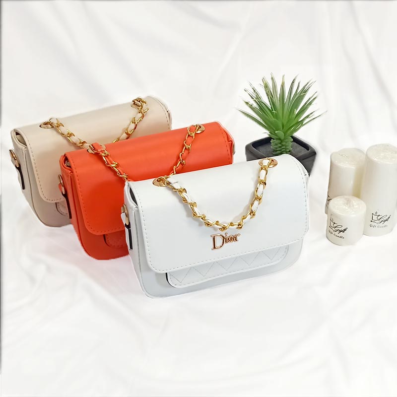 کیف پاسپورتی دیور Dior مدل جدید