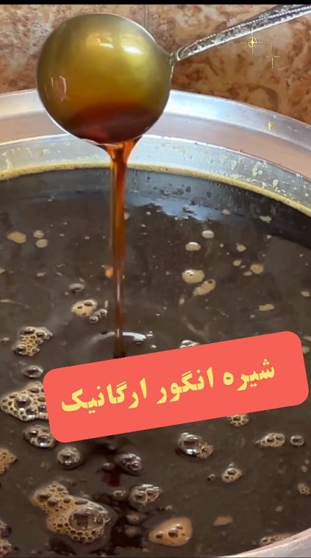 IMG_۲۰۲۴۱۱۰۱_۱۴۲۷۴۰